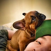 Jerry Tang's photo