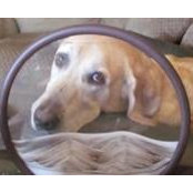 Eileen Moye-Garretson's photo