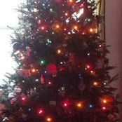 Trina Sullivan Brown's photo