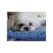 Karin Silveira's photo