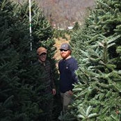 Meg Wilkins's photo