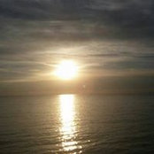 Su Lee Ong's photo