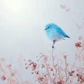 Crystal LeFevre's photo