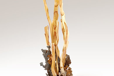 Seaweed Sculpture, residence, Madison WI