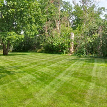 Lawn Maintenance