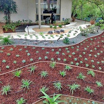 Drought Tolerant Landscape design