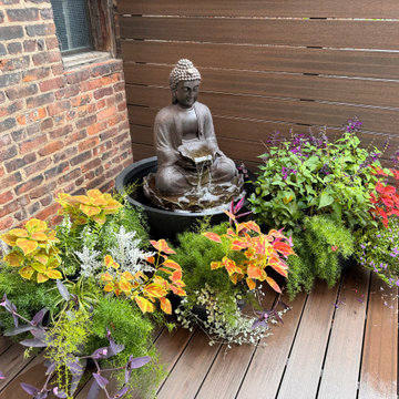 Greenpoint, Brooklyn backyard