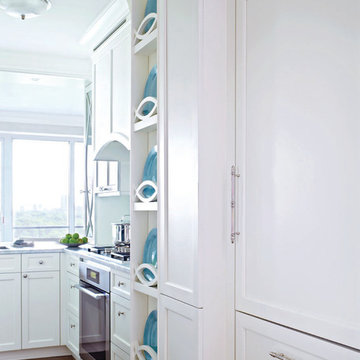 Kitchen Overlooking Central Park in NYC
