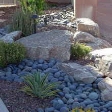 Yard Makeover