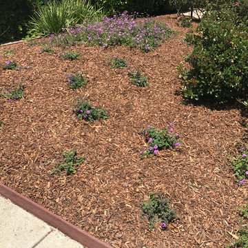 Landscape and Mulch Installations