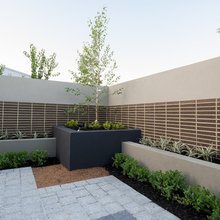 Landscaping: Walnut Cir