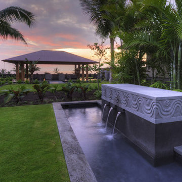 Tropical Water Garden