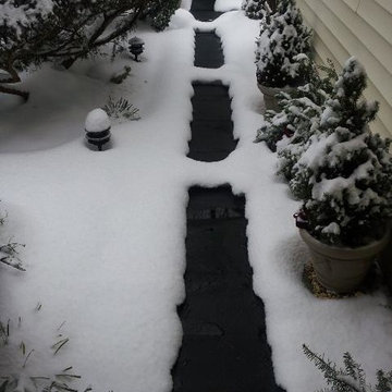 Larry keeps snow at bay even after a surprise storm