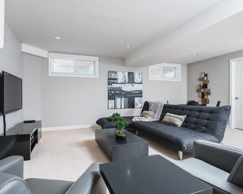 Best Rectangular Basement Design Ideas & Remodel Pictures | Houzz