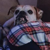 Leah Durden's photo