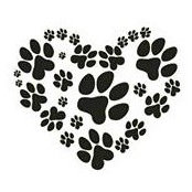 Marie Scippa Malone's photo