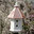 Wooden Expression Birdhouses