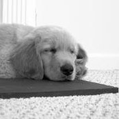 Abby Woodward's photo
