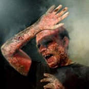 Paul Lynch's photo
