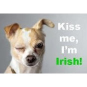 Kandis Cooper's photo