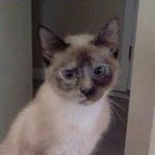 Barb Tuttle's photo