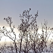 Nicole Stull's photo