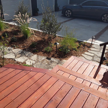 Los Angeles Back Yard