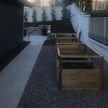 Backyard Renovation - Minimal Elegance