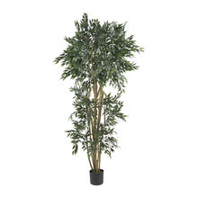 silk trees