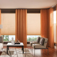 Window Coverings