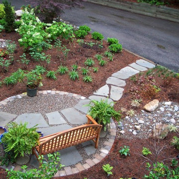 Lush Front Yard