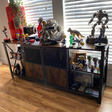 Houzz.com | Collector Figures, Model and Toys Display Cabinets Ideas