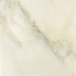 Spring White Polished Field Tile - Wall And Floor Tile