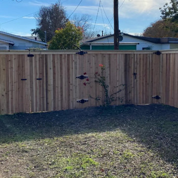 Project Photos