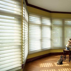 Hunter Douglas Silhouette&reg; - Window Blinds