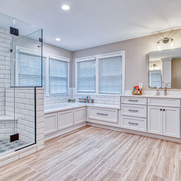 Vienna Expansive Primary Bath Remodel