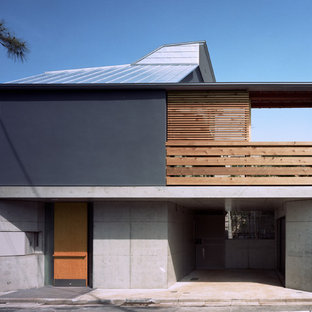東京23区のアジアンスタイルのおしゃれな家の外観 (コンクリートサイディング、グレーの外壁、片流れ屋根、戸建、金属屋根) の写真