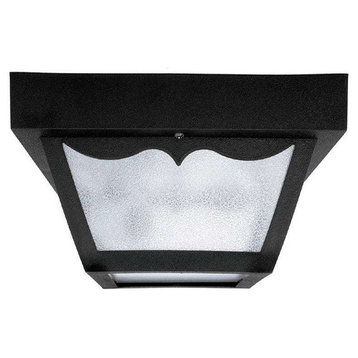 Capital Lighting 2-LT Outdoor Poly Ceiling Light 9239BK - Black