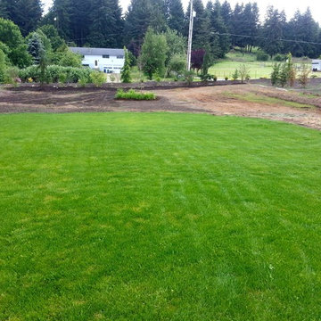 HOUZZ SUCCESS-STORY!  PLANT BARE-ROOT TREES & SHRUBS IN BEST LANDSCAPE MAKEOVERS