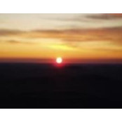 Jack Dash's photo