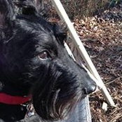 Nancy Eisenhut's photo
