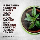 Stacy Davis's photo