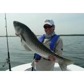 Pamela Smith's photo