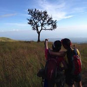 Cindy Wong's photo