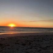 Josh Wilkinson's photo