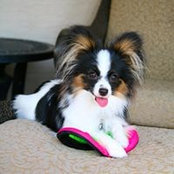 Claudia Scott's photo