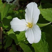 Barbara Fuller's photo