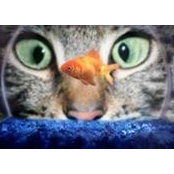 Tarina Adkins's photo