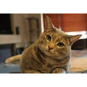 Chris Warren's photo