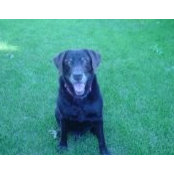 Eileen Kluckman DeCrane's photo